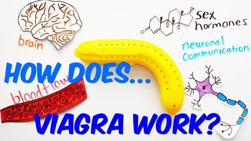 how does a Viagra work