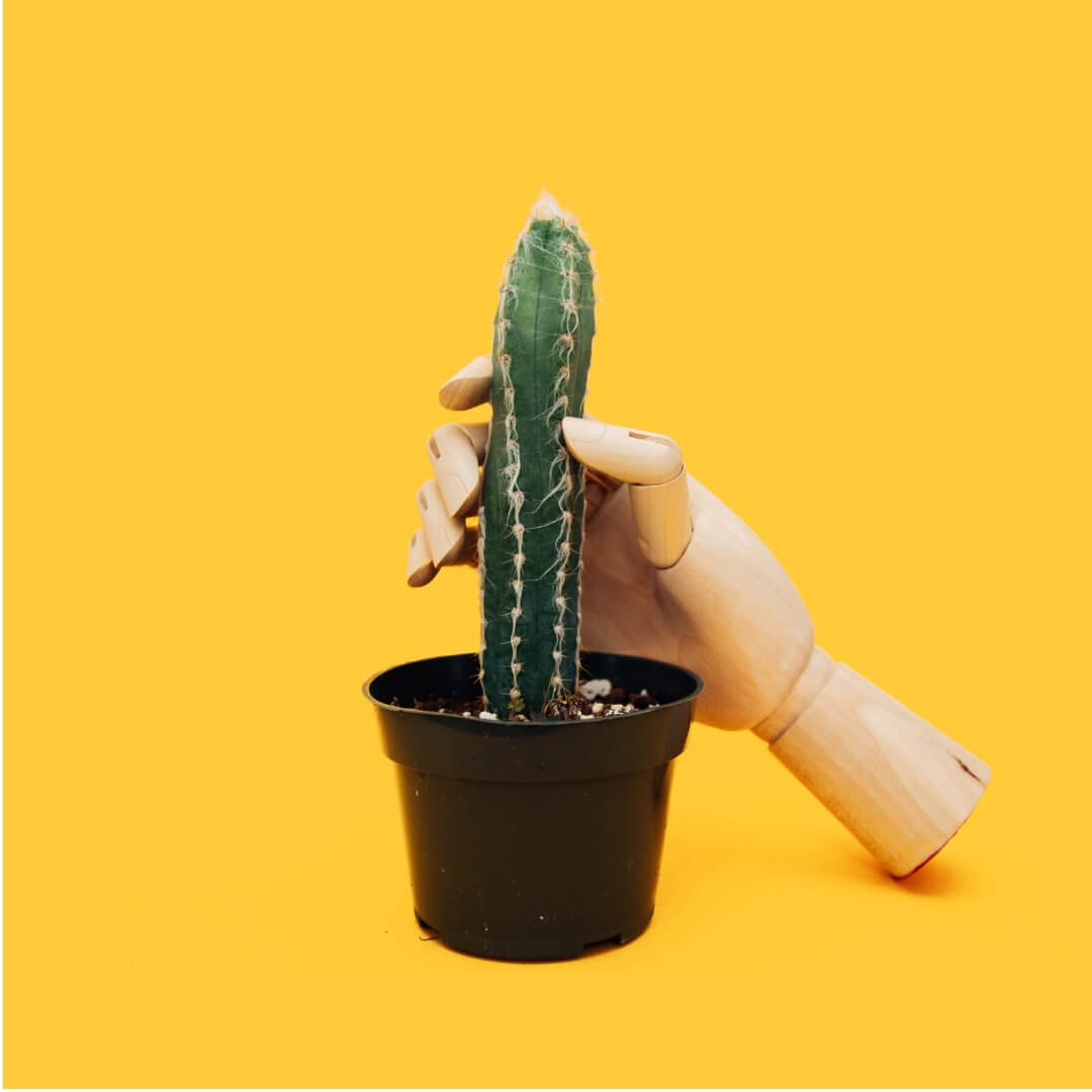 levitra 20 mg is a special product for treating the problem of